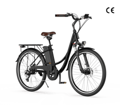 A sleek black electric bicycle with a step-through frame, featuring a brown saddle and a rear cargo rack, is shown against a white background. The bike has disc brakes and a front light, highlighting its modern design.