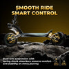 iSinwheel Skuter Elektryczny Terenowy GT4 Electric Scooter TorqueBeast Dual Motor 2400W Off-Road Folding, Range 70-80 km, CE Certified, Powerful Motor