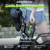 CE certification label on safe foldable electric bicycle