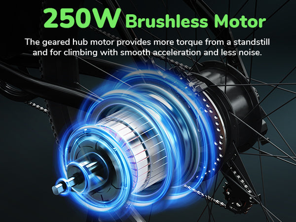 The high-efficiency 250W brushless motor provides reliable power for isinwheel M10 Electric Bike