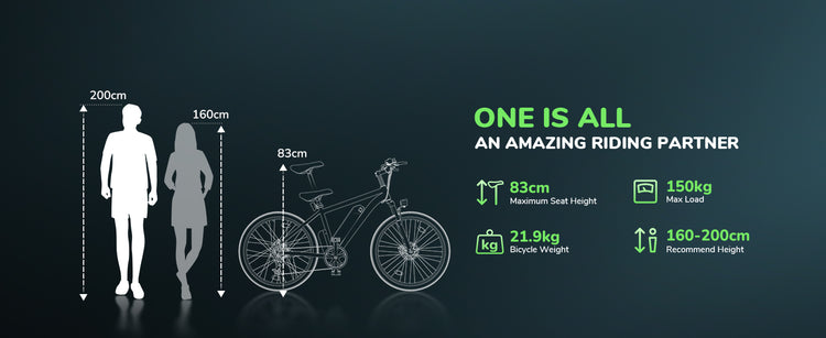 Integrated front and rear lights on the isinwheel M10 Electric Bike