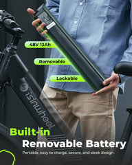 isinwheel E-Bike Electric Bike M60 750W Fat-Tire All-Terrain Electric Bike