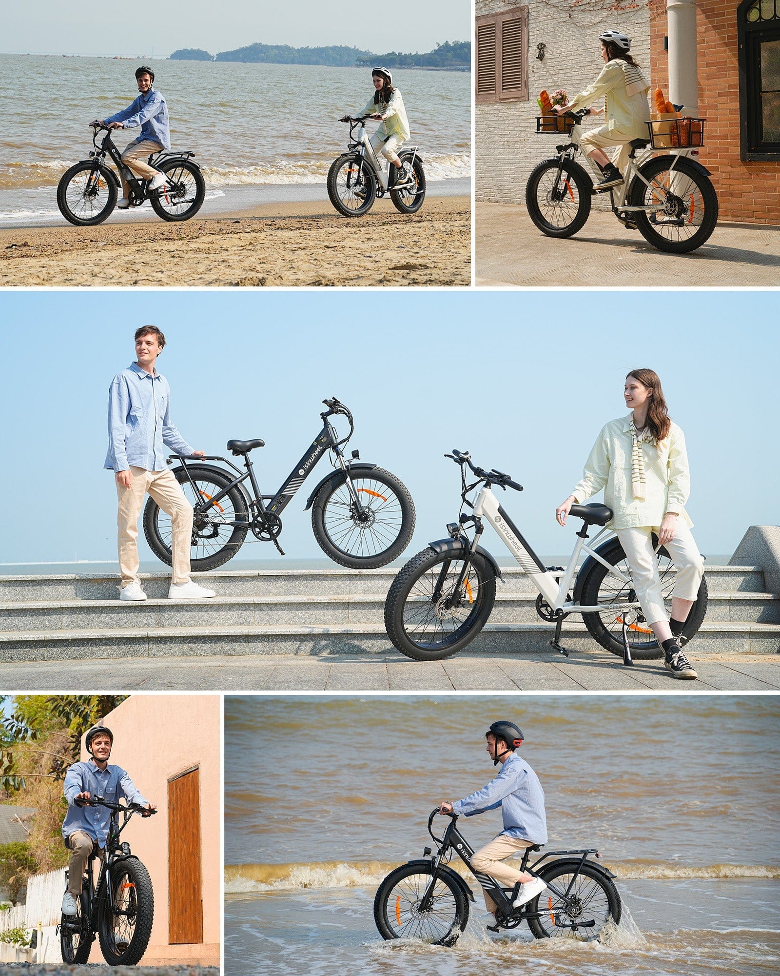 isinwheel E-Bike Electric Bike M60 750W Fat-Tire All-Terrain Electric Bike