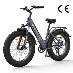 isinwheel E-Bike M60 Electric Bike Fat Tire, 250W, 104 km Long Range, All-Terrain E-Bike