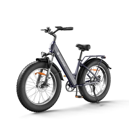 CyberCart E-Bike M60 Fat Tire Electric Bike, 250W All-Terrain E-Bike with 104 km Range 1600