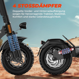 T4 500W Electric Scooter ABE-certified, 60-70KM long range, 20 KM/H max speed, ideal for off-road and city commuting.