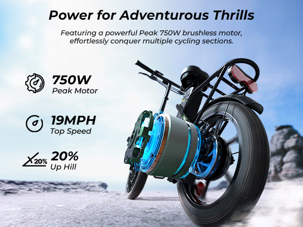 Powerful 250W (peak 750W) motor on the isinwheel U4 Electric Bike.