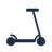 Electric Mobility