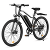 Mountain E-Bike