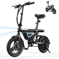 EB1S Folding Electric Bike 250W
