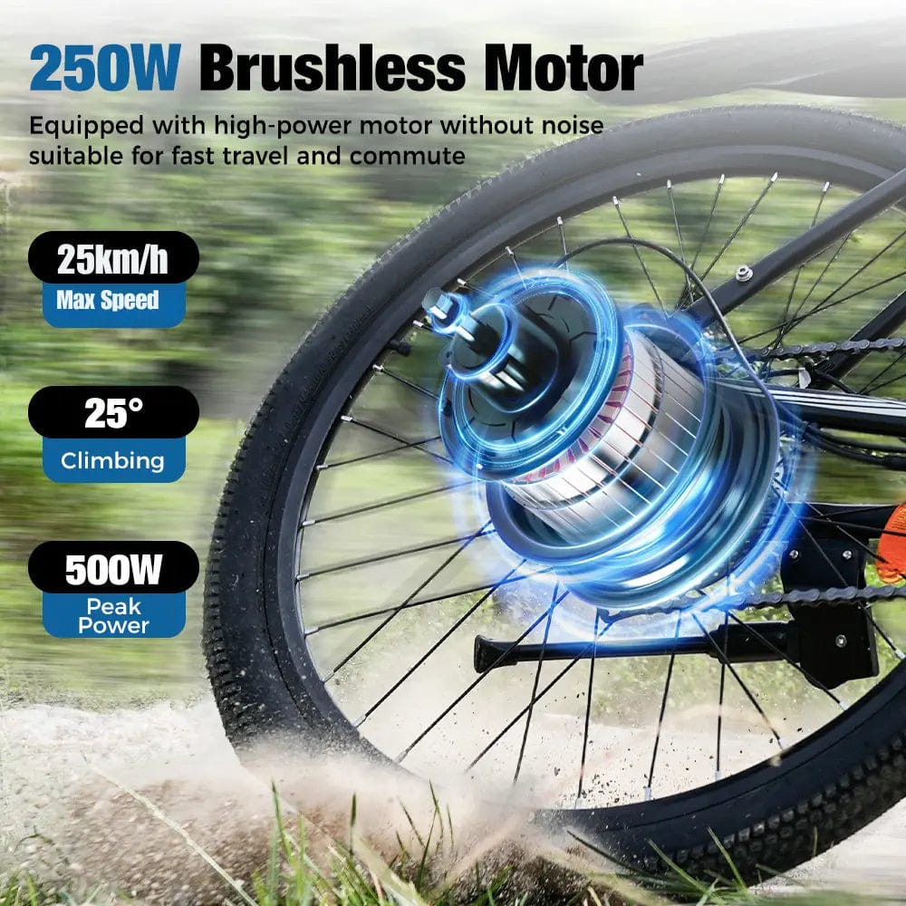 CyberCart Commuter E-Bike EB3 Electric Bike | 250W, 100 km Range