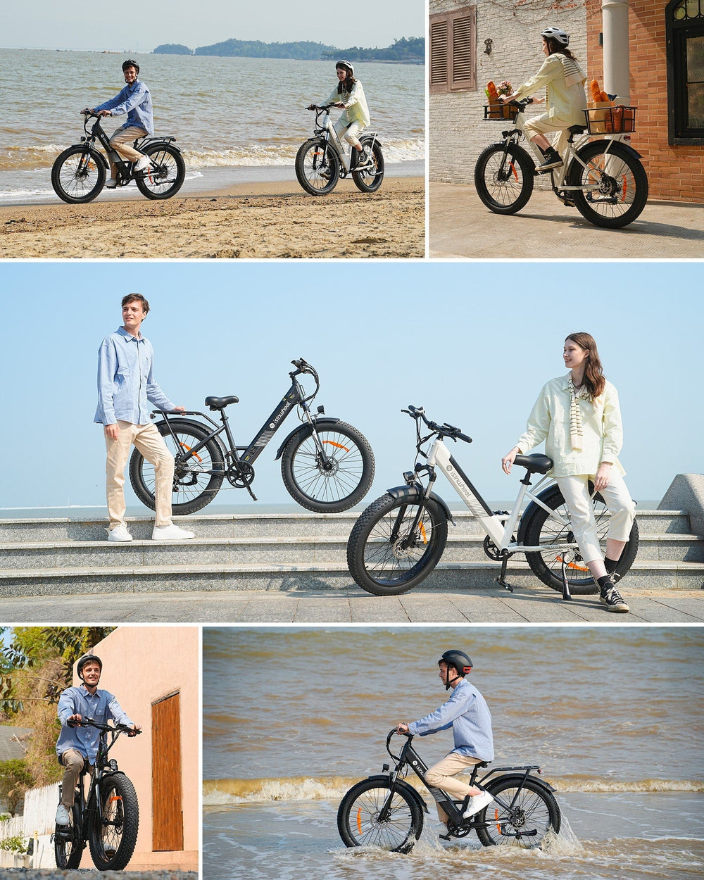 isinwheel E-Bike Electric Bike M60 750W Fat-Tire All-Terrain Electric Bike